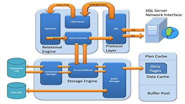 Commercial Professional Software Ltd. - Services